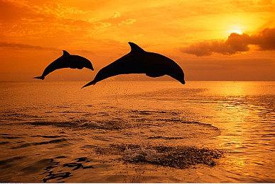 独立解谜RPG《乐园》宣布推出新引擎版 价格将永涨